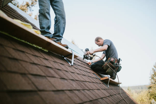 Best Green or Eco-Friendly Roofing Solutions  in Pacific, WA